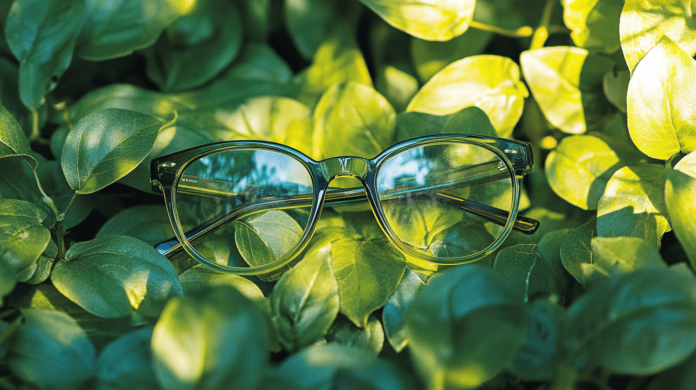 How You Can Reduce Your Carbon Footprint with Eco-Friendly Glasses How You Can Reduce Your Carbon Footprint with Eco-Friendly Glasses