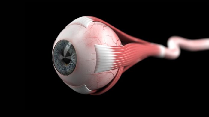 Bioengineered Eyeballs