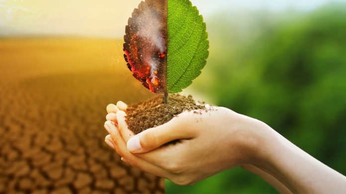 What Climate-Conscious Consumers Expect from Eyewear Brands in 2025 What Climate-Conscious Consumers Expect from Eyewear Brands in 2025 What Climate-Conscious Consumers Expect from Eyewear Brands in 2025
