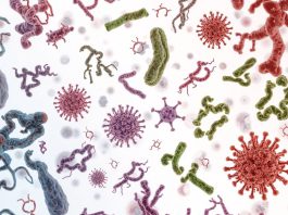 Eye Microbiome Secrets: The Tiny Bugs That Could Ruin Your Sight Eye Microbiome Secrets