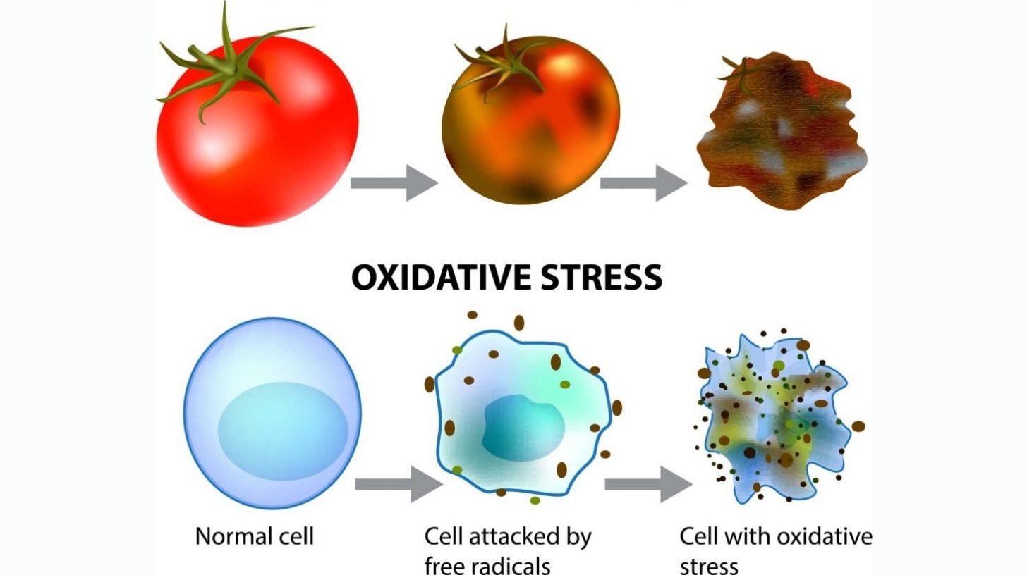 Digital Eye Strain: Symptoms, Causes, and What to Do