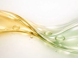 Fish Oil vs Algae Oil