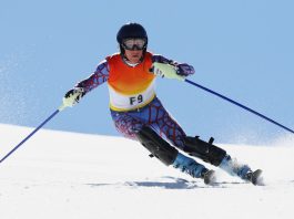 Winter Olympics 2026