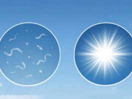 Floaters, Flashes, and the Line Nobody Tells You Not to Cross