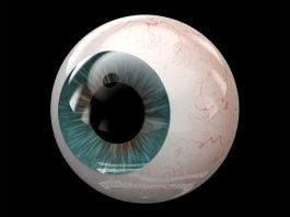 The Bionic Eye Just Got an Upgrade — and Blind People Are Seeing Again The Bionic Eye Just Got an Upgrade