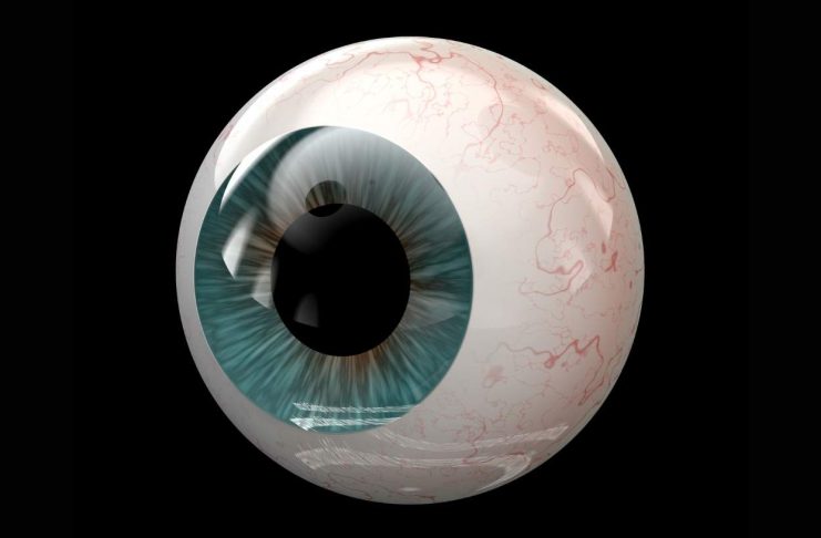 The Bionic Eye Just Got an Upgrade