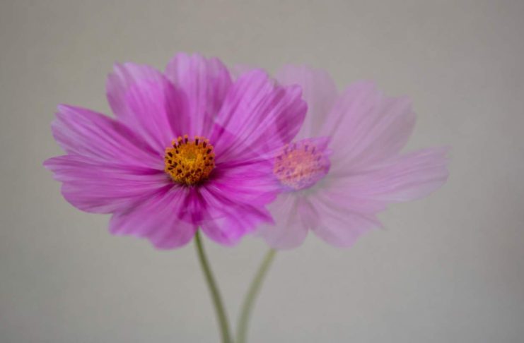 8 Common Reasons You May Experience Double Vision
