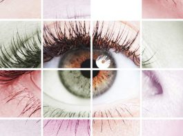 What Your Eye Color Actually Reveals About Your Health Risks What Your Eye Color Actually Reveals About Your Health Risks